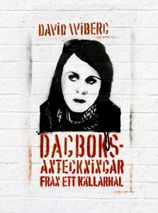 OMSLAG-KÄLLARHÅL-223x300